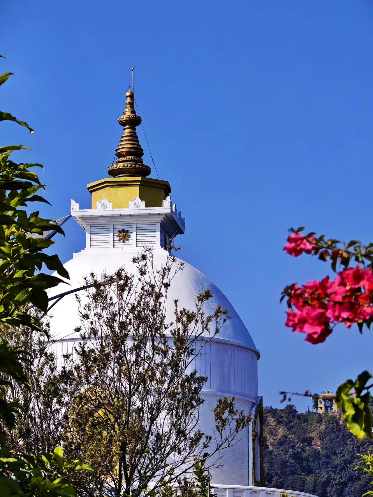 Nepal travel gallery image 37