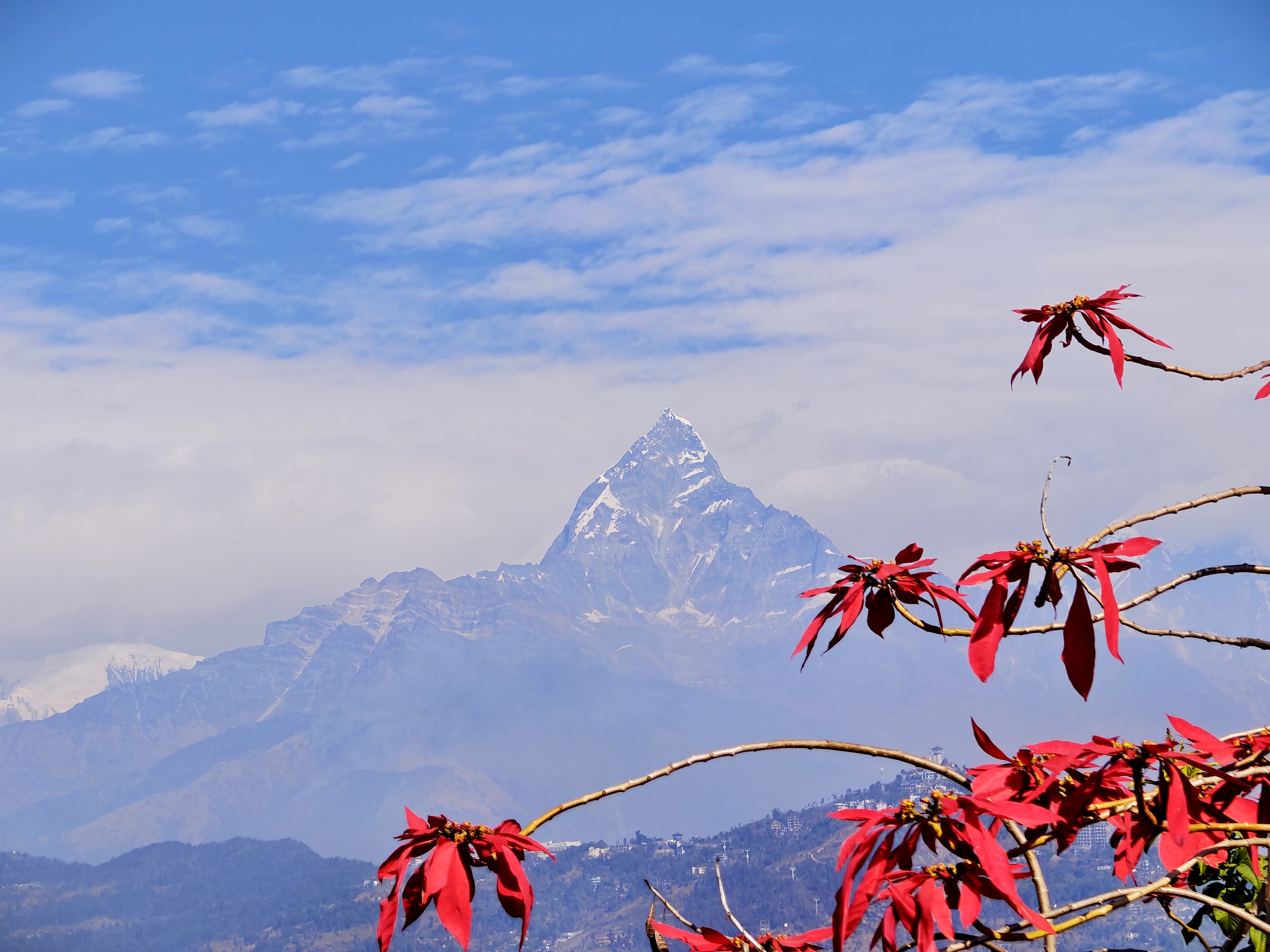 Poon Hill + Annapurna Base Camp Combined Trek β 11 Days Full Itinerary - Image 1