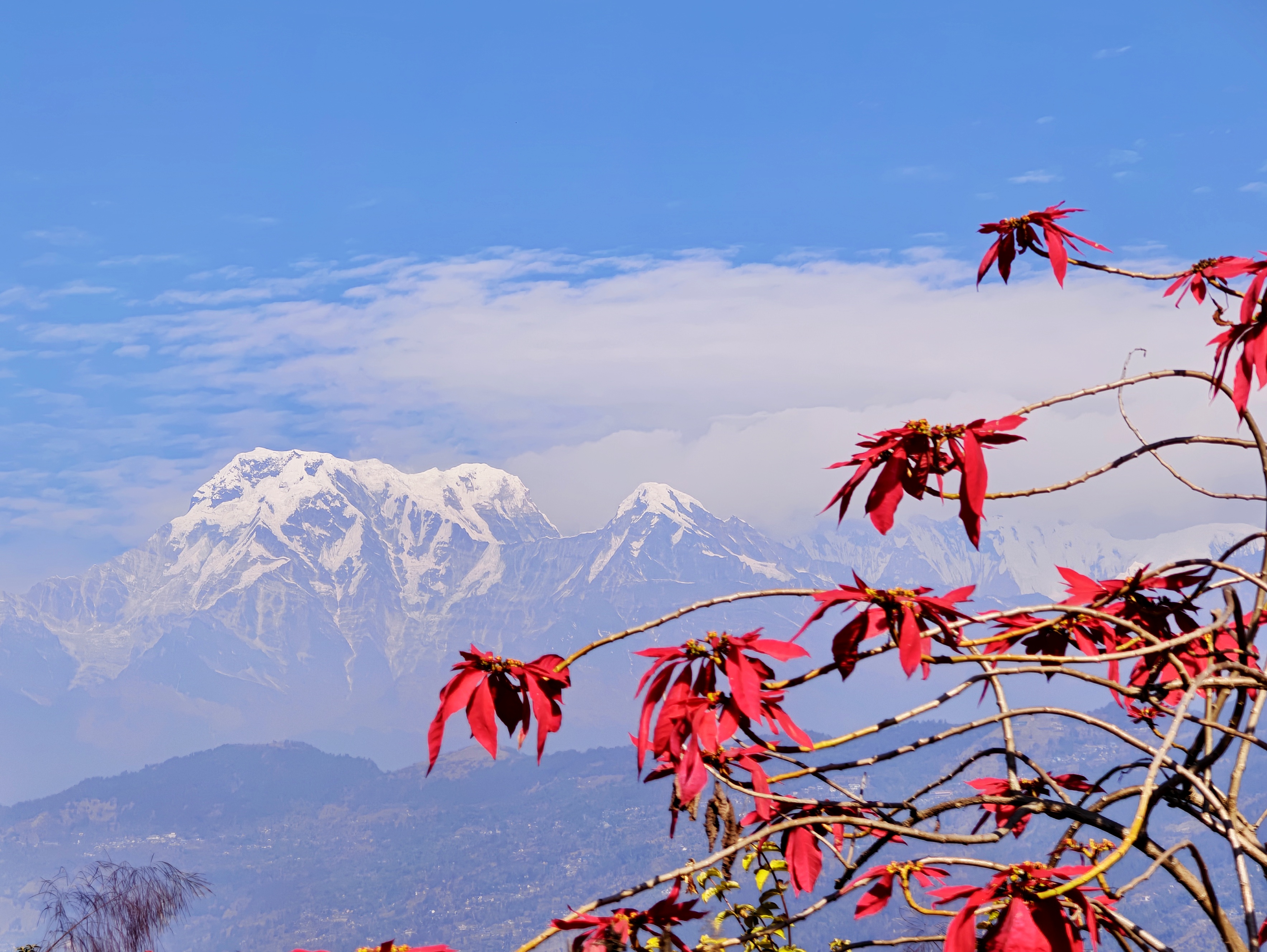 Nepal travel gallery image 40