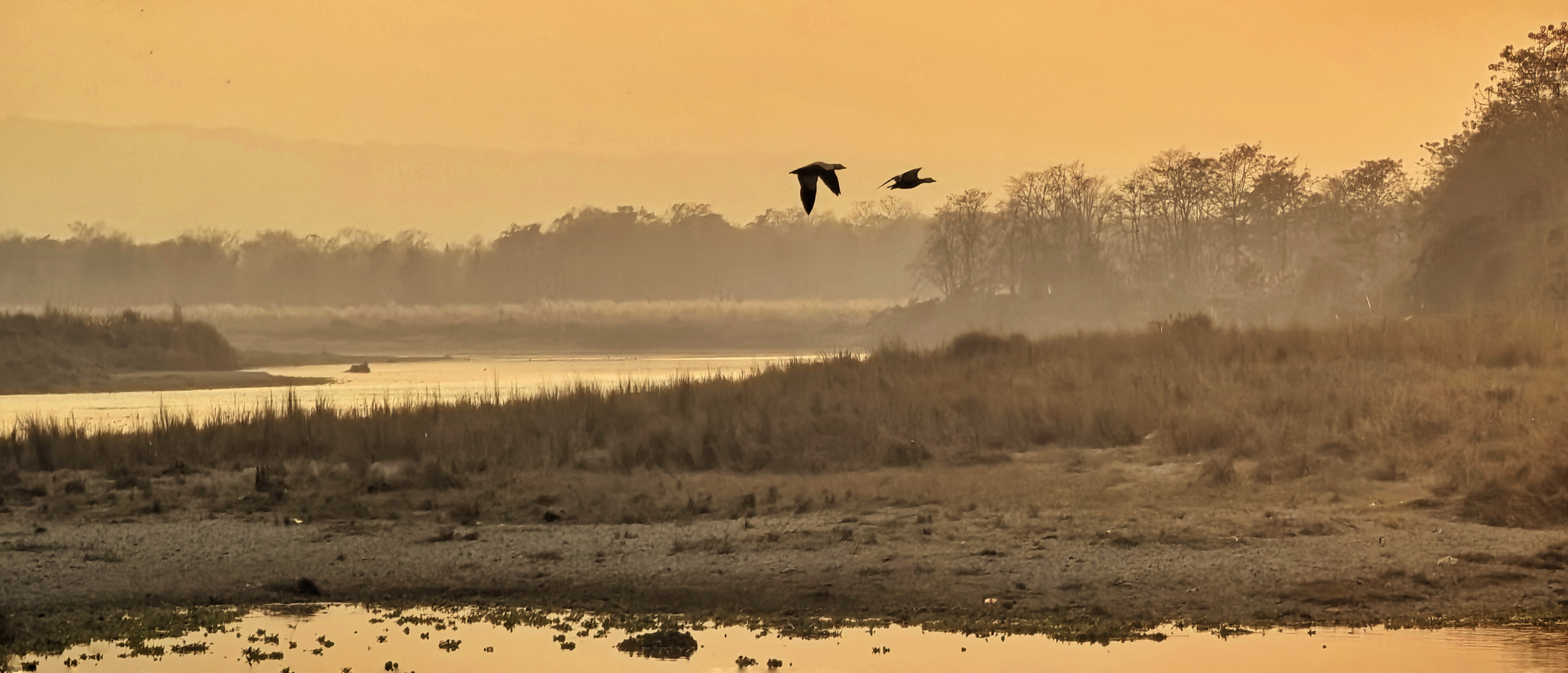 Nature & Conservation Education Tour - Image 1