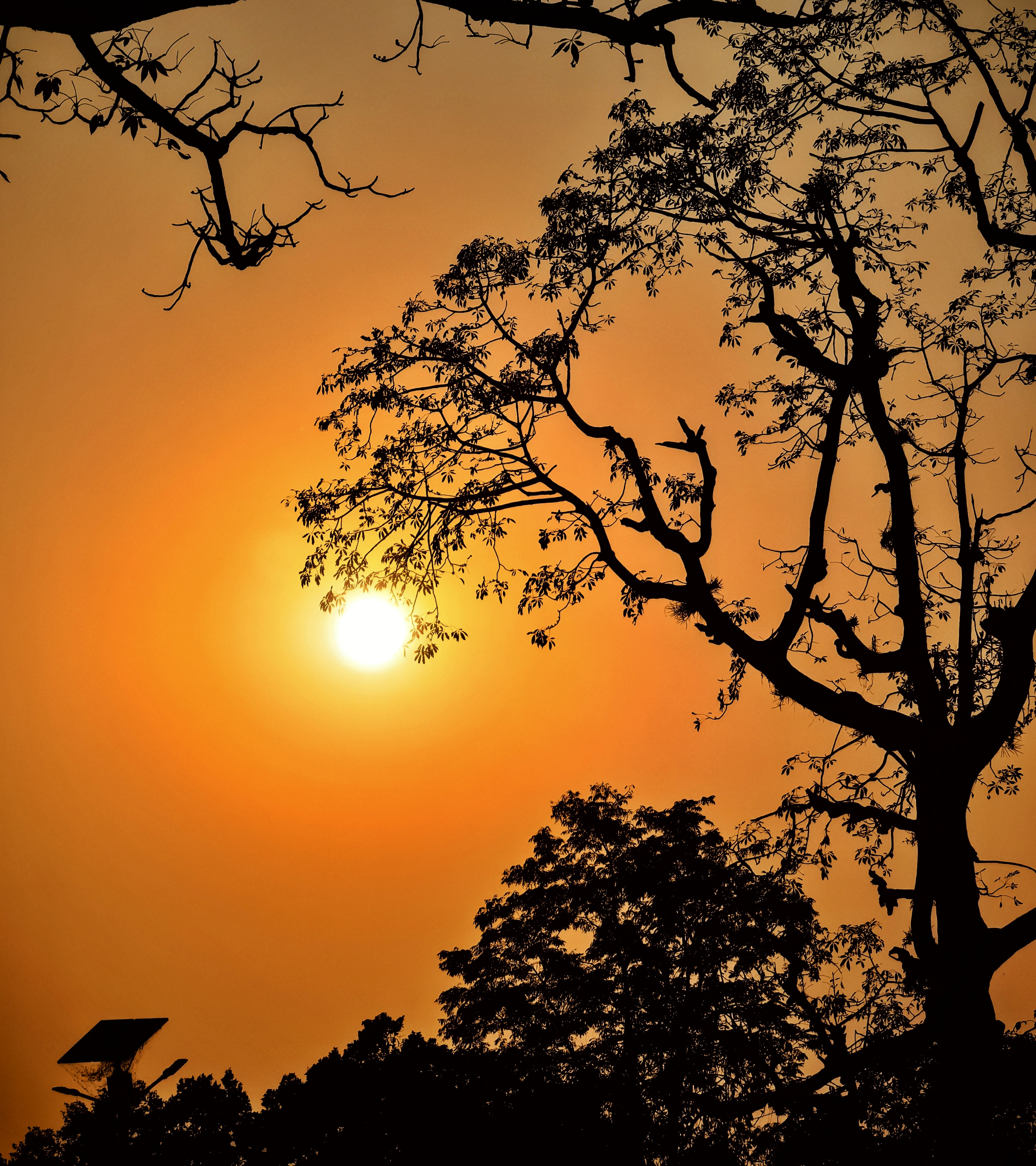 Nepal travel gallery image 47